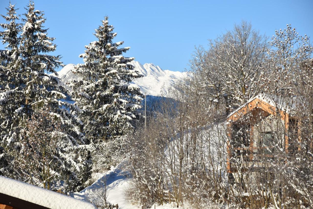 Chalet & Appartement Zingerlehof Trens Campo di Trens Exterior photo
